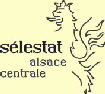 Selestst-Wappen klein